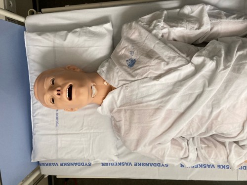 Voksen-simulator, mand, HAL