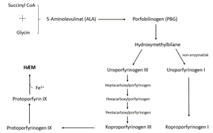 Porfyrioversigt