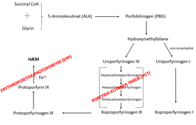 Porfyri 2