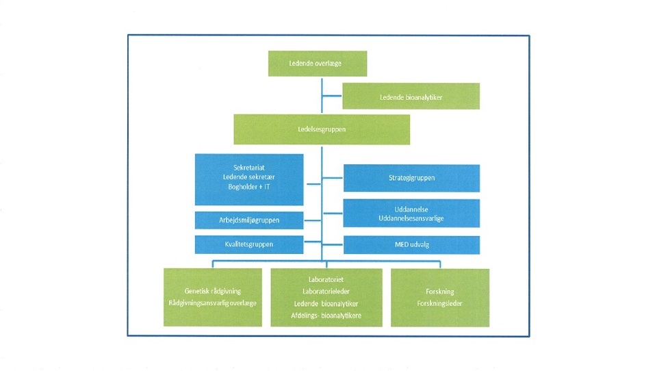 Diagram over organisation på Klinisk Genetisk Afdeling.