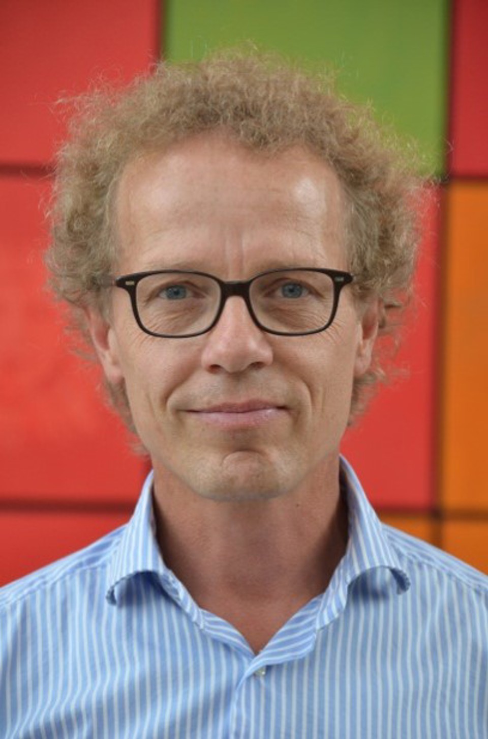 Henrik Christesen, professor