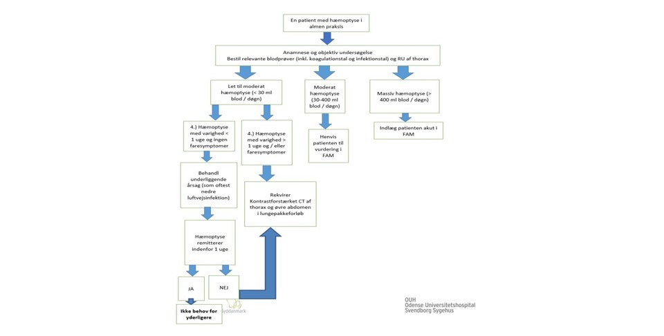 Oversigt over processen for henvisning af hæmoptyse patienter